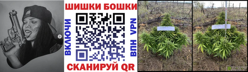 Купить закладки Таштагол МАРИХУАНА Amnesia